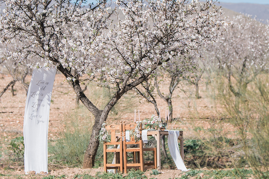 Hochzeit zur Mandelblüte in Andalusien, Tischdeko